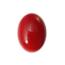 Red Coral