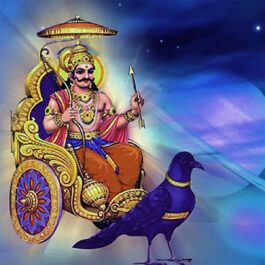 Shani Peeda  Dosha Nivaran Pooja